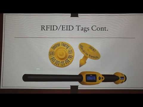 Swine Identification Methods