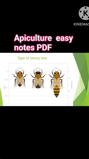 #Apiculture notes PDF #viral_video #trending
