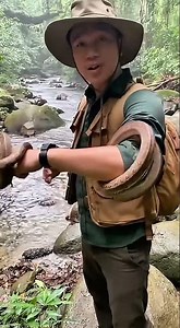 How to unwind a snake 😅 #viral #animals #reels #education #fyp #snake