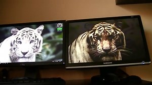 Choisir un PC portable avec écran TN ou IPS ? | Comparez-malin