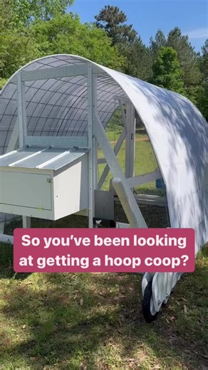🐔 So you’ve been looking at getting a hoop coop? Here’s what you need to know first! 🏡 ✨ Easily moveable with inexpensive wheel design ✨ Exterior nesting box ✨ Tons of roosting space ✨ Our detailed blueprints make it super simple to build! 🔗 Purchase our plans here: https://www.cottonriverfarm.com/store/p/hoopcoopplans Get ready to make chicken keeping a breeze! 🐓💪 #HoopCoop #DIYChickenCoop #Homesteading #SelfSufficiency #ChickenTractor #PoultryLife #BackyardChickens #FarmLife #HomesteadGoa