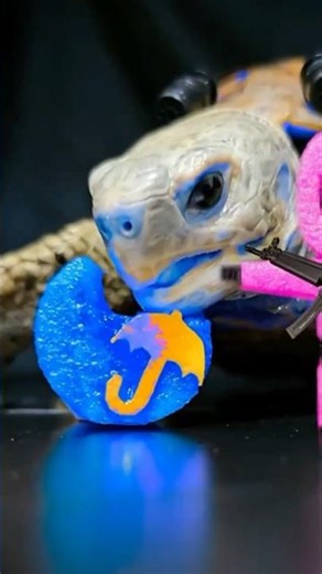 sound asmr turtle eating#asmr#turtle#asmrsound#viral#shortsfeed