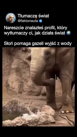 Nauka, fakty, świat, wiedza on Instagram: "Nagranie pokazuje słonia, który najwyraźniej ratuje walczącą o wyjście gazelę z wypełnionego wodą zbiornika. Ten zdumiewający akt zwierzęcego współczucia podkreśla wrodzoną życzliwość i zaskakujący instynkt ochronny, który może pojawić się między różnymi gatunkami na wolności. Więcej na @faktonauta"