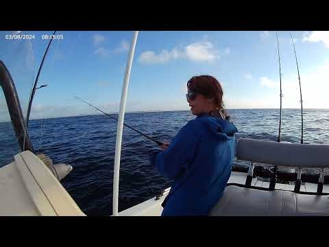 Catching red snapper and grouper with Ruby, Matt and Liam on 11 8 25 Offshore and Inshore.
