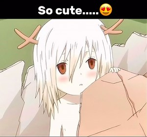 19K reactions · 665 shares | cute anime moments 殺 | Sukuna Meme | Facebook