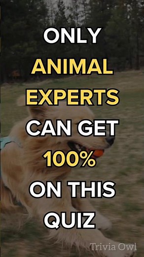 Animal Trivia Questions and Answers 🐵🐔🐶🐷