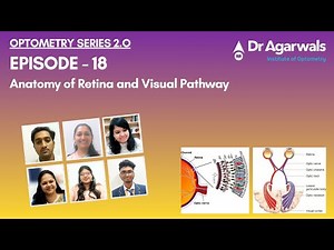 Optometry Series 2.0 Episode - 18 Anatomy of Retina and Visual Pathway