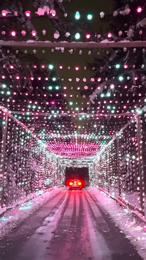 Holiday magic, from your car window ✨️🎄 Enjoy the festive drive through Christmas lights at Jellystone Park™ Caledonia! 📍 @yogicaledonia | Yogi Bear's Jellystone Park Camp-Resorts