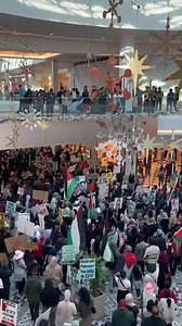 4.2K views · 714 reactions | A significant pro-Palestine march at Westfield Mall in San Jose, California, strategically coincided with a key shopping holiday | Middle East Eye | Facebook