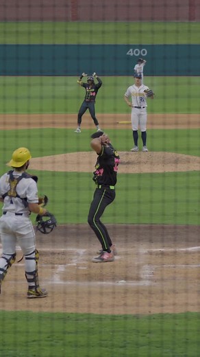 The Party Animals on TikTok