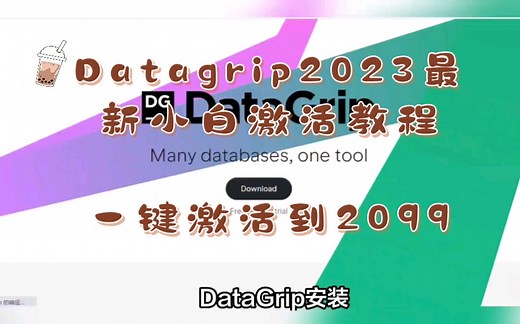 Datagrip2023永久激活破解教程支持2021以上版本（带激活工具和激活码）