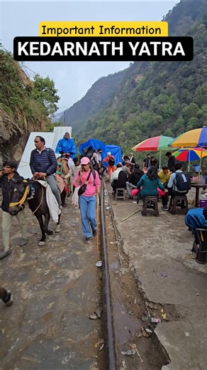 Kedarnath yatra update | Kedarnath yatra important Information | Kedarnath trek update #kedarnath