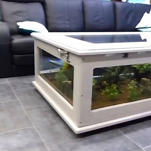 29K views · 264 reactions | This Man builds a fish tank coffee table and it's incredible | This Blew My Mind | Facebook