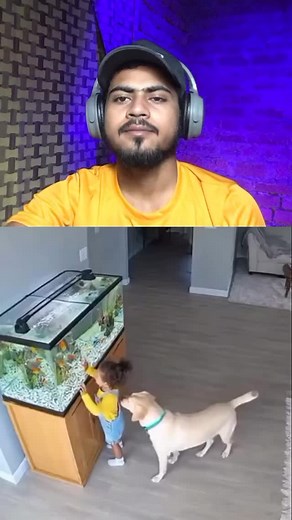 Trending Dogs 🤗.. . . . . . #trending #fyp #reels #trendingreels | Ankit Kumar