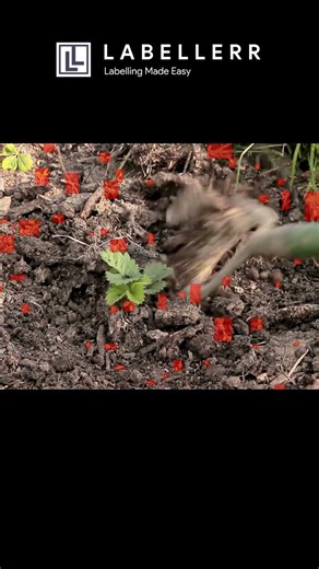 AI That Detects Weeds in Farm Fields Without Touching the Crops