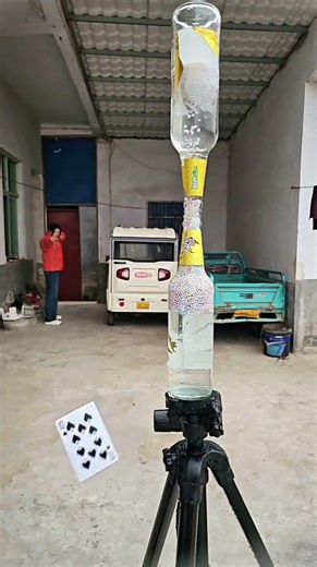 河南花大姐 #精彩片段