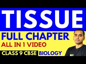 TISSUE (FULL CHAPTER) | CLASS 9 CBSE