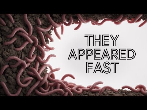 This One Soil Trick Pulls Thousands of Earthworms Overnight (No Compost Bin Needed)