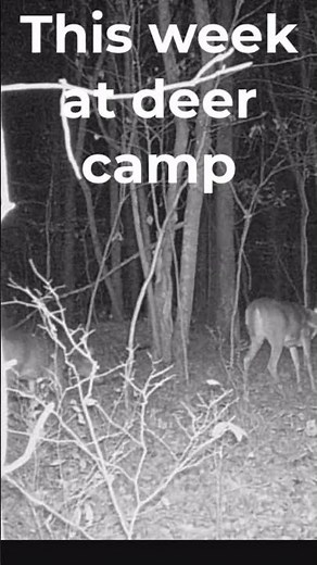 Deer camp camera #deercamp #deerhunting #hunting