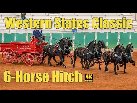 Western States Draft Horse Classic 6-Horse Hitch