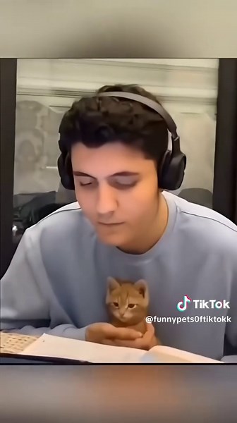 Funny Cats Compilation: Enjoy Hilarious Cat Moments