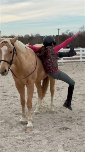 Bare back bloopers from today #horse #pony #fails #bloopers