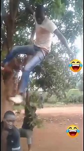 1K views · 24 reactions | Taking Sungura Music to the World and Bring...