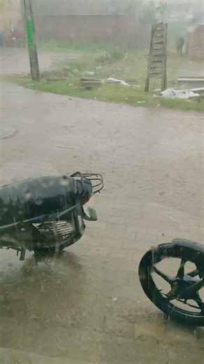 Barish ⛈️ #shortsfeed #shortvideo #shorts #rain