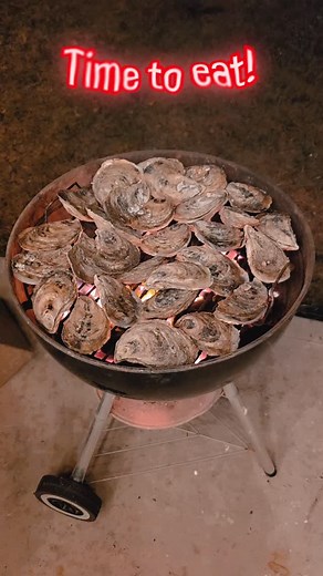 19 reactions | RNR Shellfish Farms on Reels | Facebook