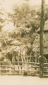 "Glimpse into our ancestral roots: A timeless nipa hut (bahay kubo) standing proud amidst the Philippine landscape. Before concrete jungles and modern amenities, these sustainable bamboo homes sheltered generations of Filipinos—a testament to indigenous ingenuity that worked harmoniously with nature. Our heritage, elegantly simple yet profoundly resilient. 🇵🇭" #PinoyPride #BahayKubo #FilipinoHeritage #ThrowbackPhilippines #IndigenousArchitecture #SustainableLiving #CulturalRoots #VintageFilipi