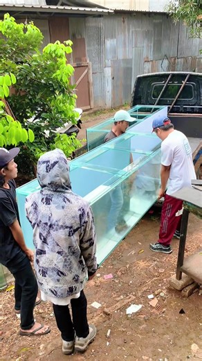 Incredible 2M Aquarium Showcase