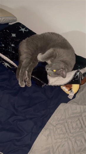 Ash Sliver & Lilly Kirby — Besties in the Making