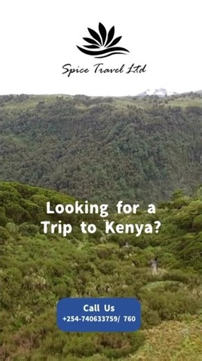 Top 7 Ways to Fill a Gap in Your Smile | Sage Dental Solutions