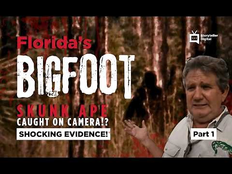 Swamp Secrets: Skunk Ape Encounters in Florida (Caught on Camera?) | Storyteller Digital