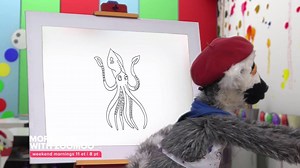 Bring nature to life for the little ones weekend mornings with ZooMoo.💛 Find your channel here: http://bit.ly/2sE2mex | Love Nature