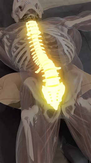 SynerMuscle on Instagram: "This position restores pressure balance, improves blood flow, and helps the nervous system relax after long hours of sitting. #synermuscle #backpain #mobility #recovery"