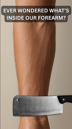 What’s REALLY Inside our Forearm? 💪🔍