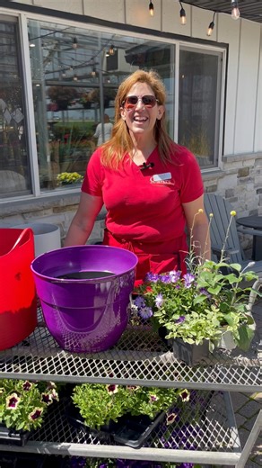 3.3K views · 27 reactions | Container Planting 101!  #planting #flowers #spring #summer #annuals #howto #containerplants #springplanting #greenhouse #gardencenter #culversgrown #culversgarden #plantlovegrow | Culver's Garden Center & Greenhouse | Facebook