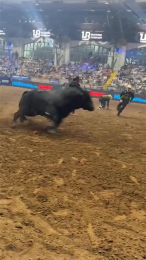 When bullfighters fly 💨 | Bull Station