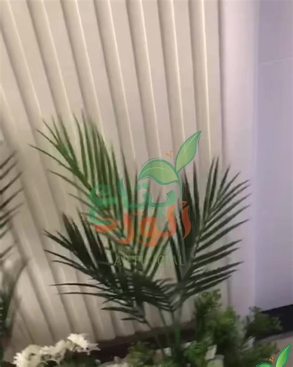 2.8K views · 21 reactions | Morning review 殺 | بتاع الورد | Facebook