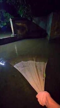 Owl Night Monk Fish Catching by Kolkata fishing #fish #nightfishing #short