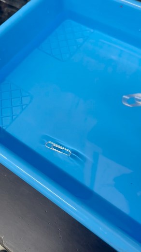 2.3K views | Can you make a paper clip float on water? A great intro activity for surface tension! | Professor Doubter’s Science Resources | Facebook