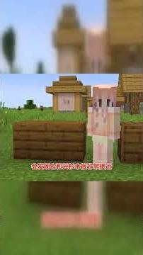 我的世界：12个藏箱子全攻略，老玩家必看！