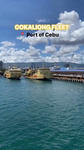 25 reactions | Cokaliong Shipping Lines Fleet at Port of Cebu #ShipSpottersPH #shipspotter #shipspotting | Louie Cal's Seamans Channel | Facebook