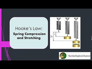 Hooke's Law: Stretching and Compression