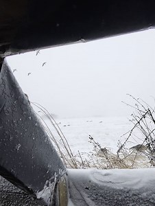 Incoming. 💨 📹 @chancewadsworth88 #goosehunting #geese #waterfowl | Quill Creek World Championship Calls