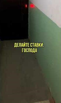 I have a feeling I'll have to go back. #kharitoncat #kitty