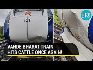 Vande Bharat Express collides with cow; India's semi-high speed train suffers damage again