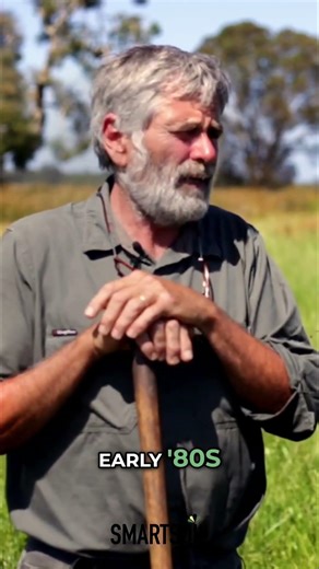 Biodiversity Solves Pest Problems: Stephen Frost Explains #shorts