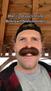 20K views · 1.6K reactions | When it’s not your first time working with Newfoundlanders #newfoundland #newfie #newfoundlandandlabrador #newfiesofinstagram | Scott Matchim | Facebook